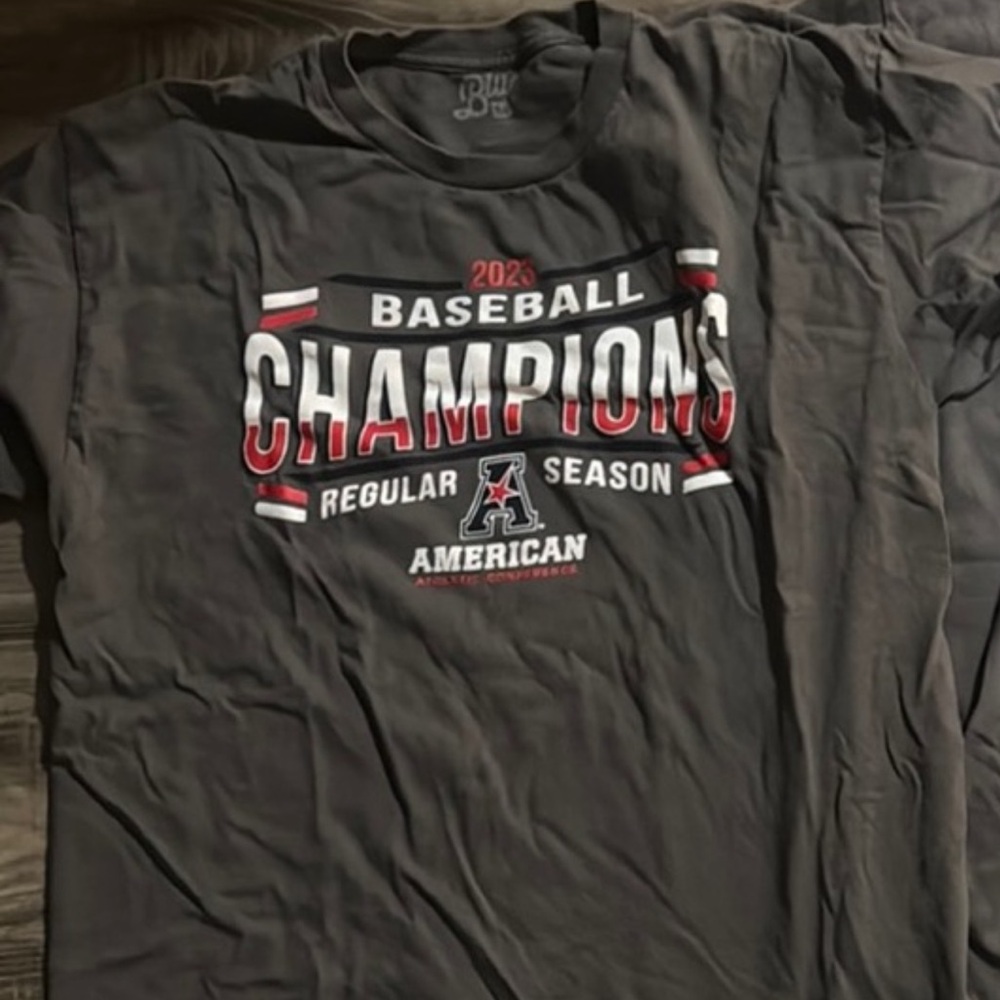 Gray Baseball Champions T-Shirt